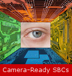 Camera-Ready
SBCs